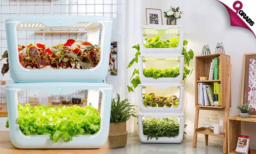 Hydroponics Garden for Home or Office Use!